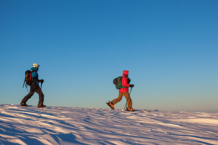 skidor