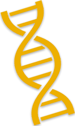 dna