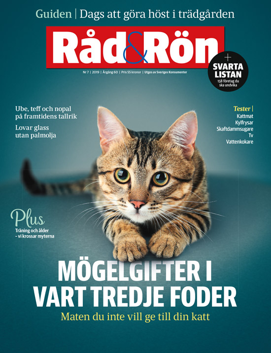omslag nr 7 - 2019